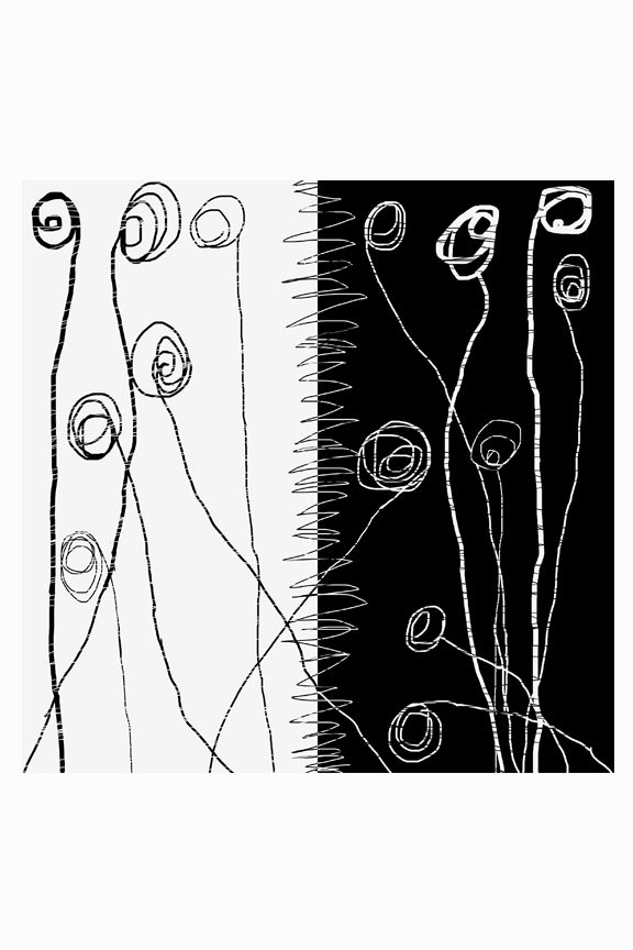 Dbs 2023 blackwhiteprintart 1200x1200 jpg v 1719472578